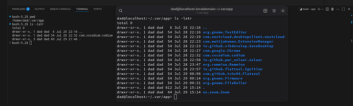 Screenshot From 2025-07-29 21-59-24